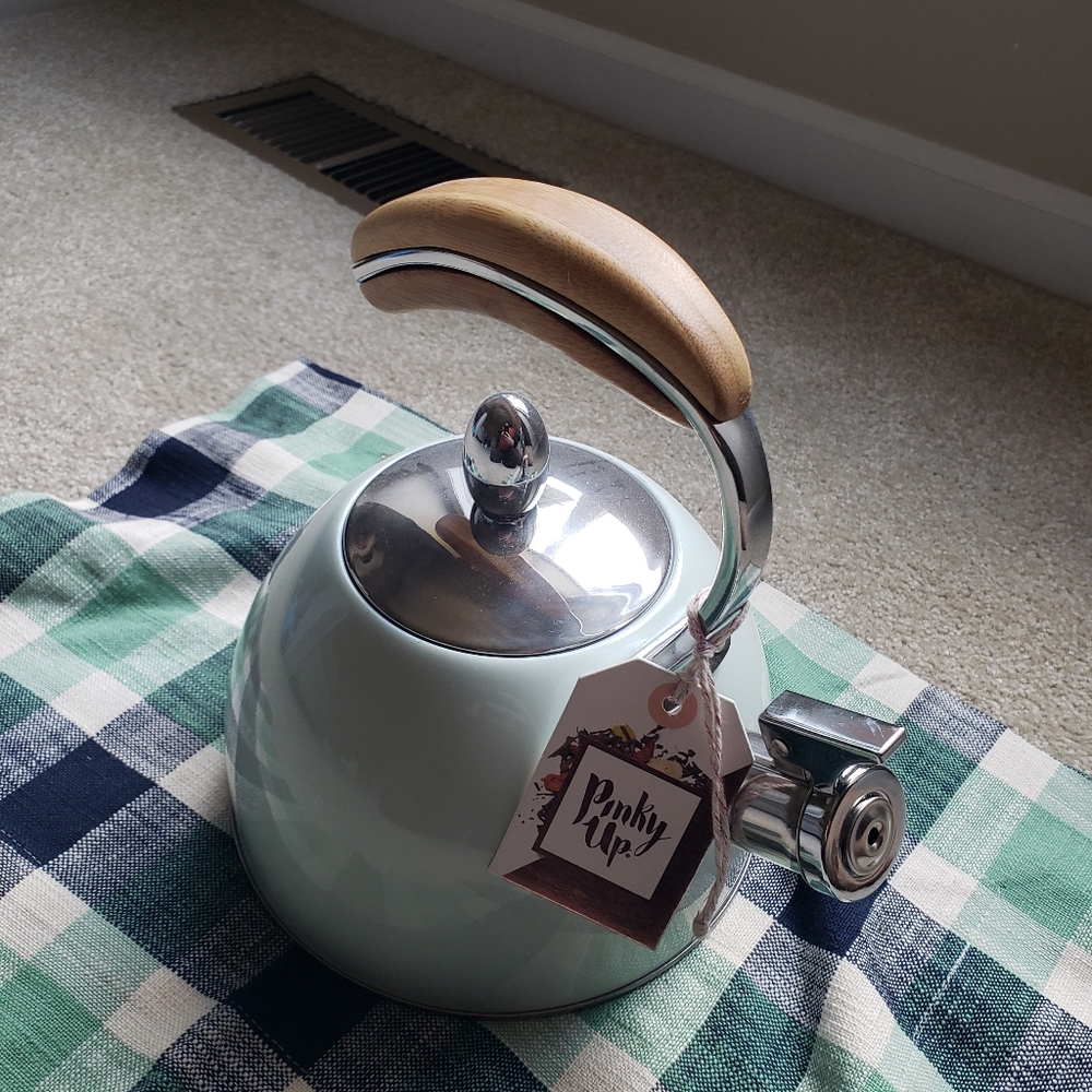 Pinky Up Pastel Blue Tea Kettle